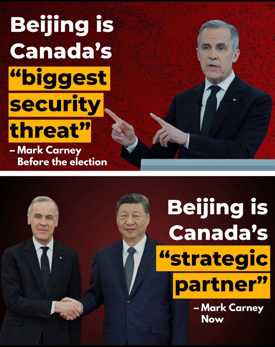 Cape Breton Max tweet media