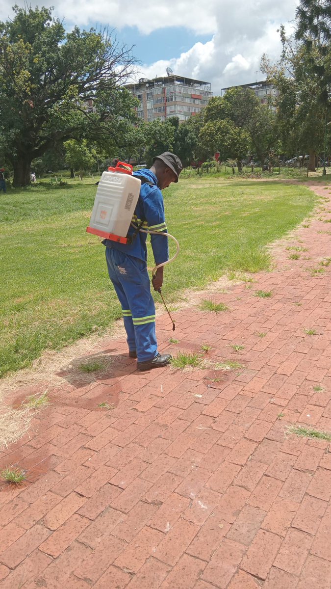 nasiphim's tweet image. Our teams were at the park yesterday. The work continues.