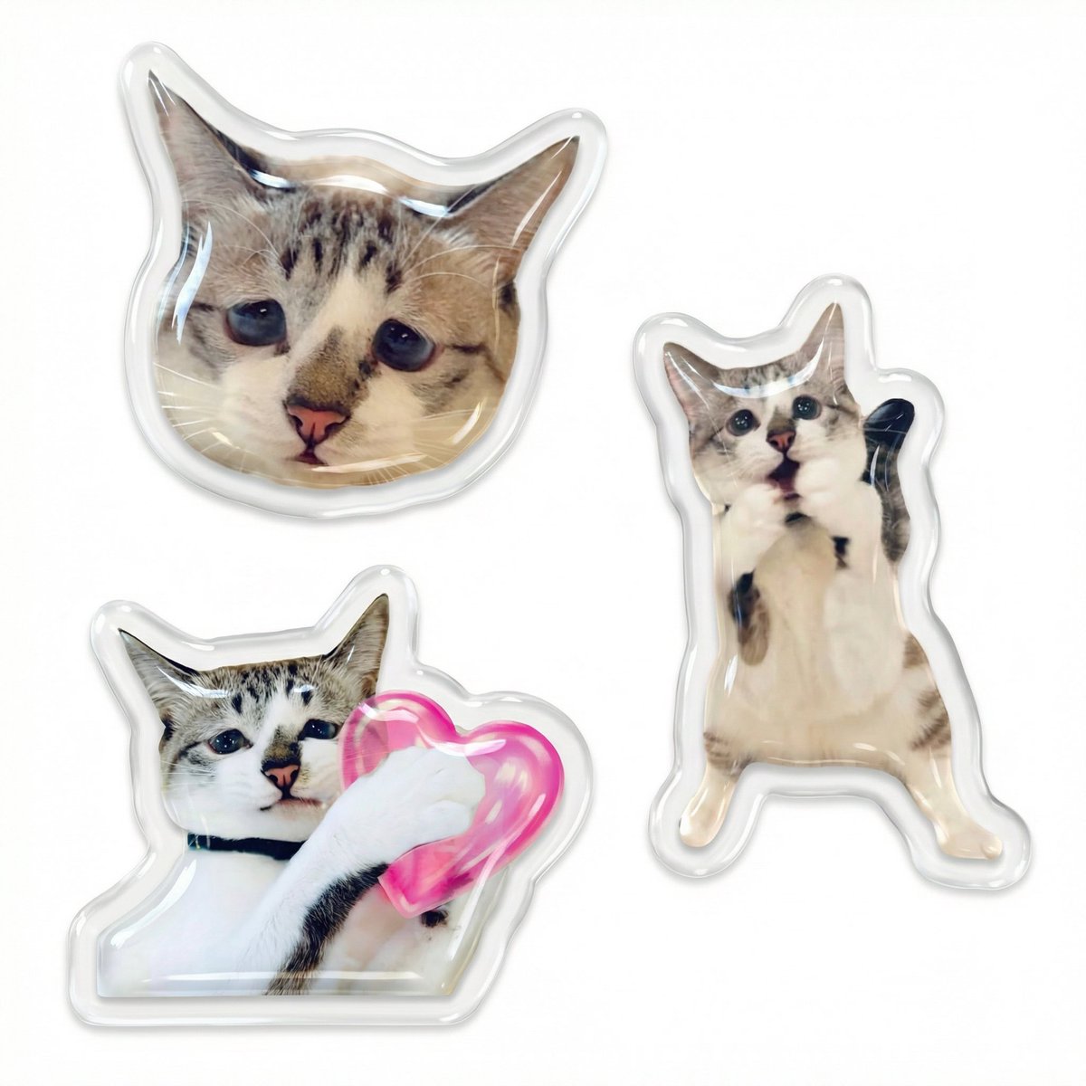 「黒猫みんと」のみ 黒猫みんと」のみ 黒猫ミント様 黒猫ミント様 📣🐈‍⬛