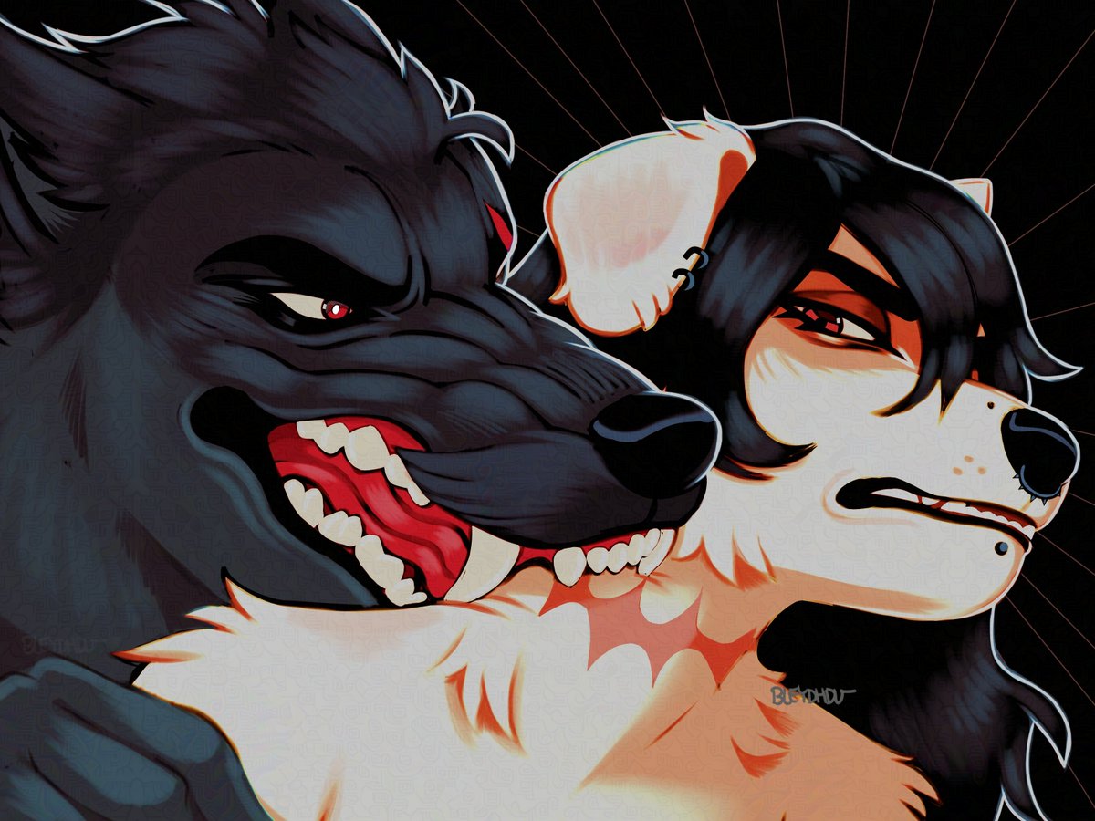 BleydhDu's tweet image. animals