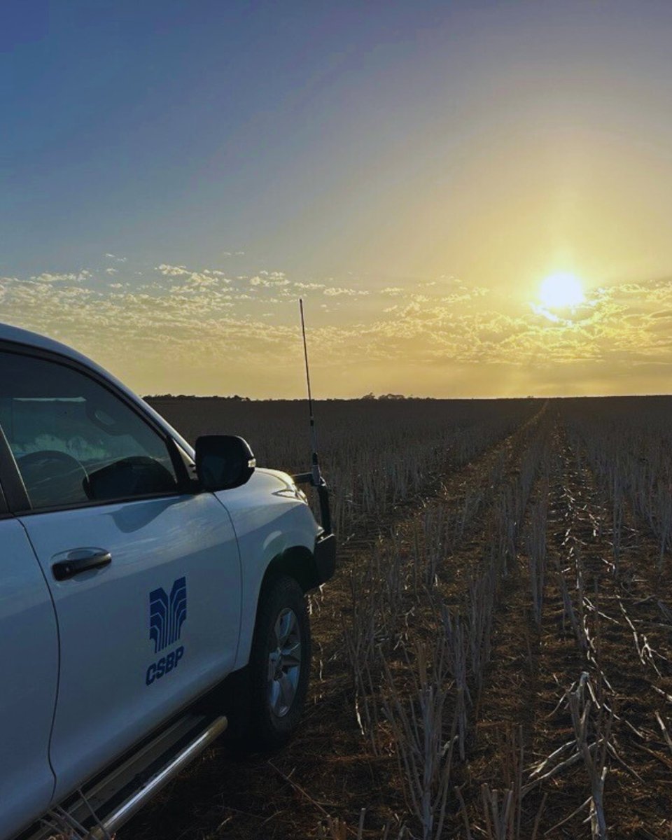 CSBP Fertilisers tweet media