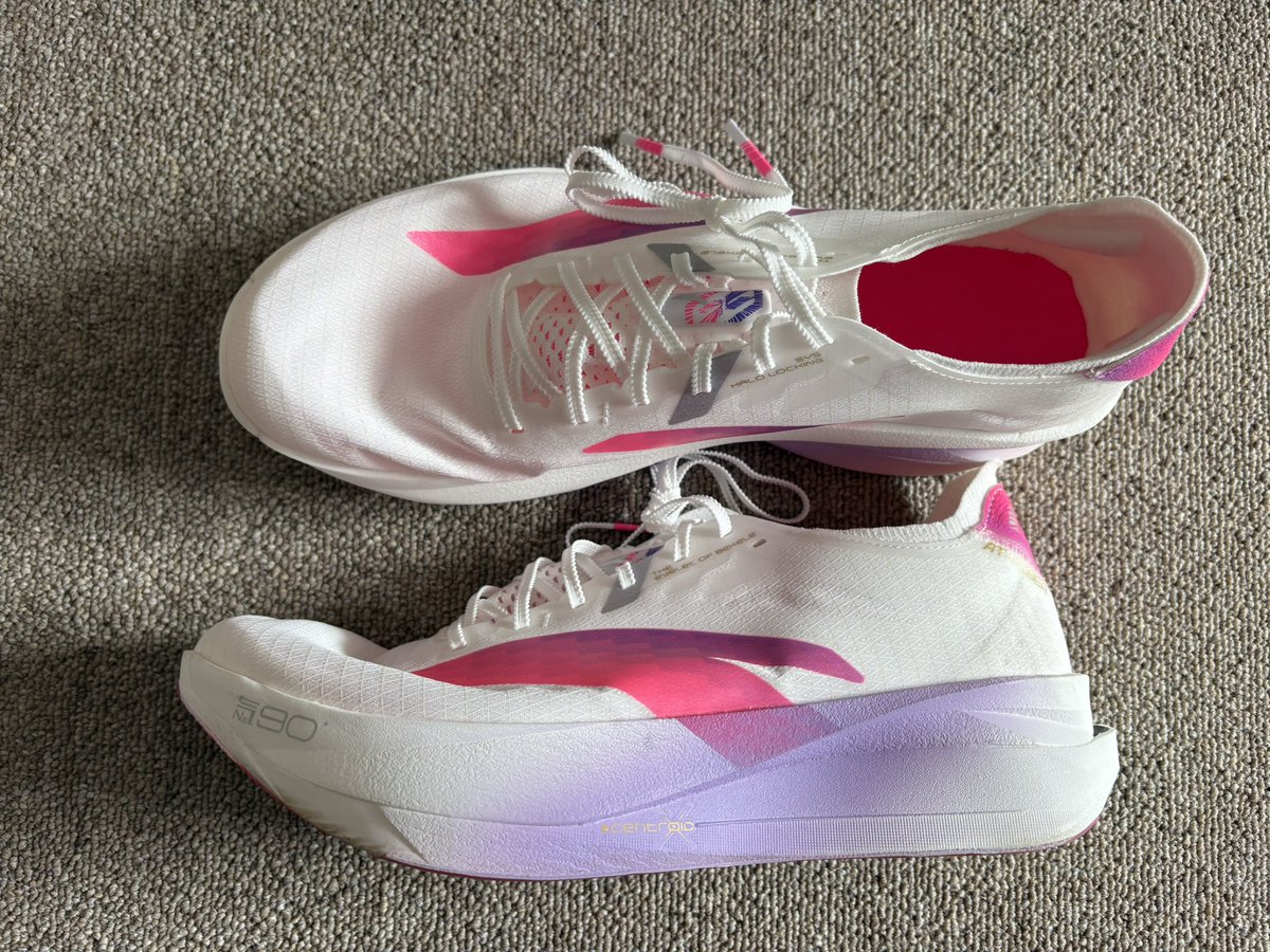 ANTA C202 g9 2.0 EVO2の代わりにベケレおじの靴買った