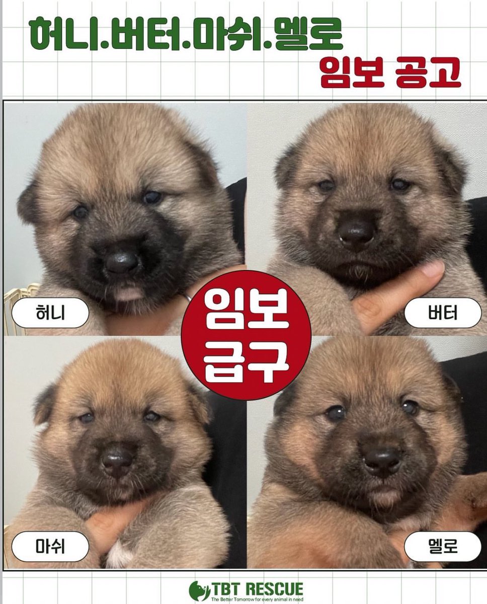 개미🥸 tweet media