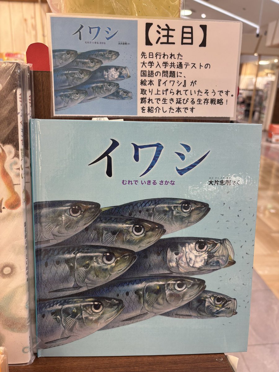 注目⚠️】 『#イワシ』 #大片忠明 #福音館書店 入荷してます???