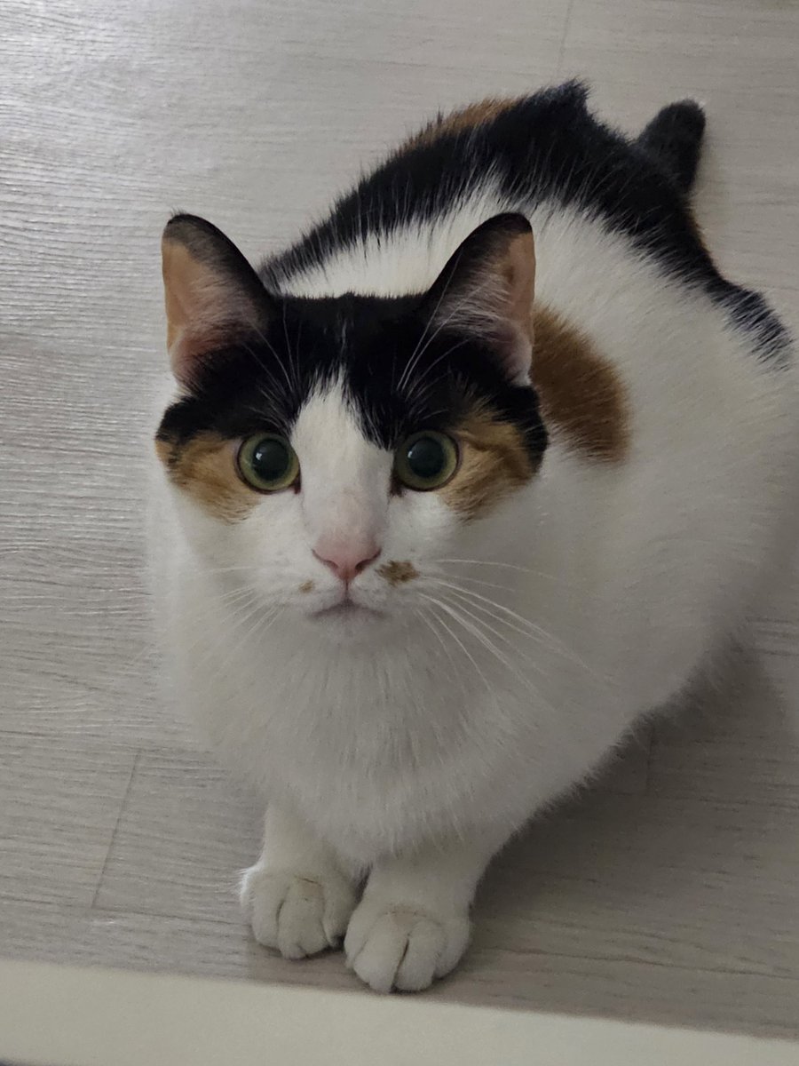 누구의아이 이렇게 이쁘니 츠