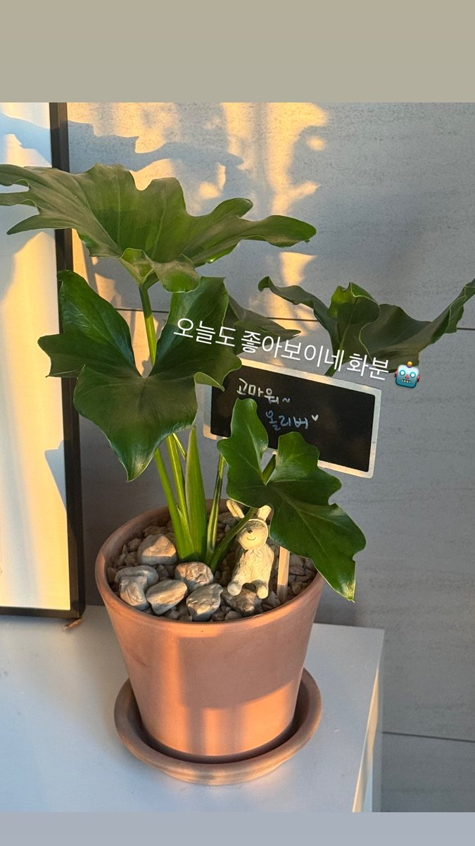 260123 배우님 인스타 스토리