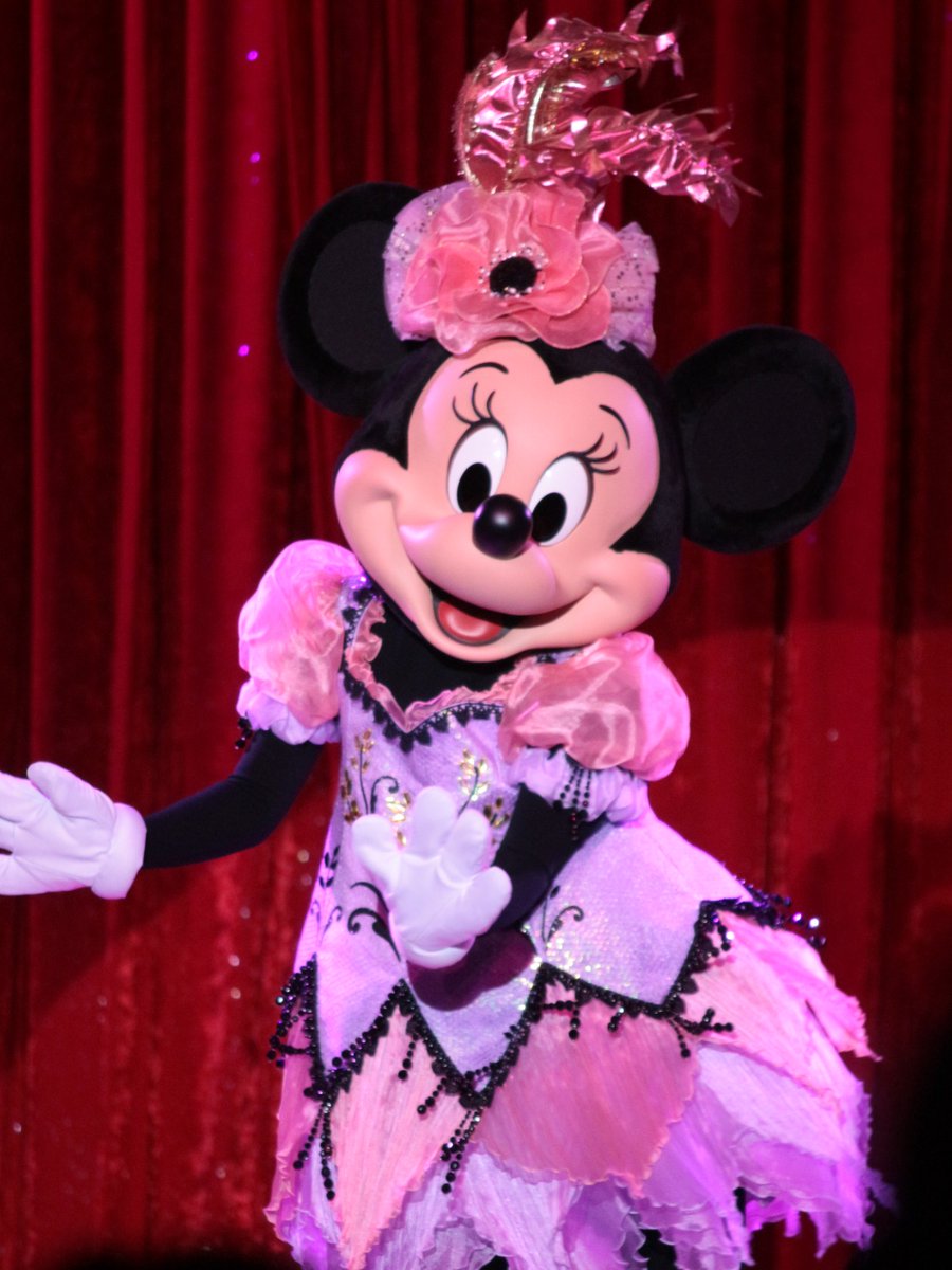 2026/01/22 #ディズニーランド #ミニーマウス