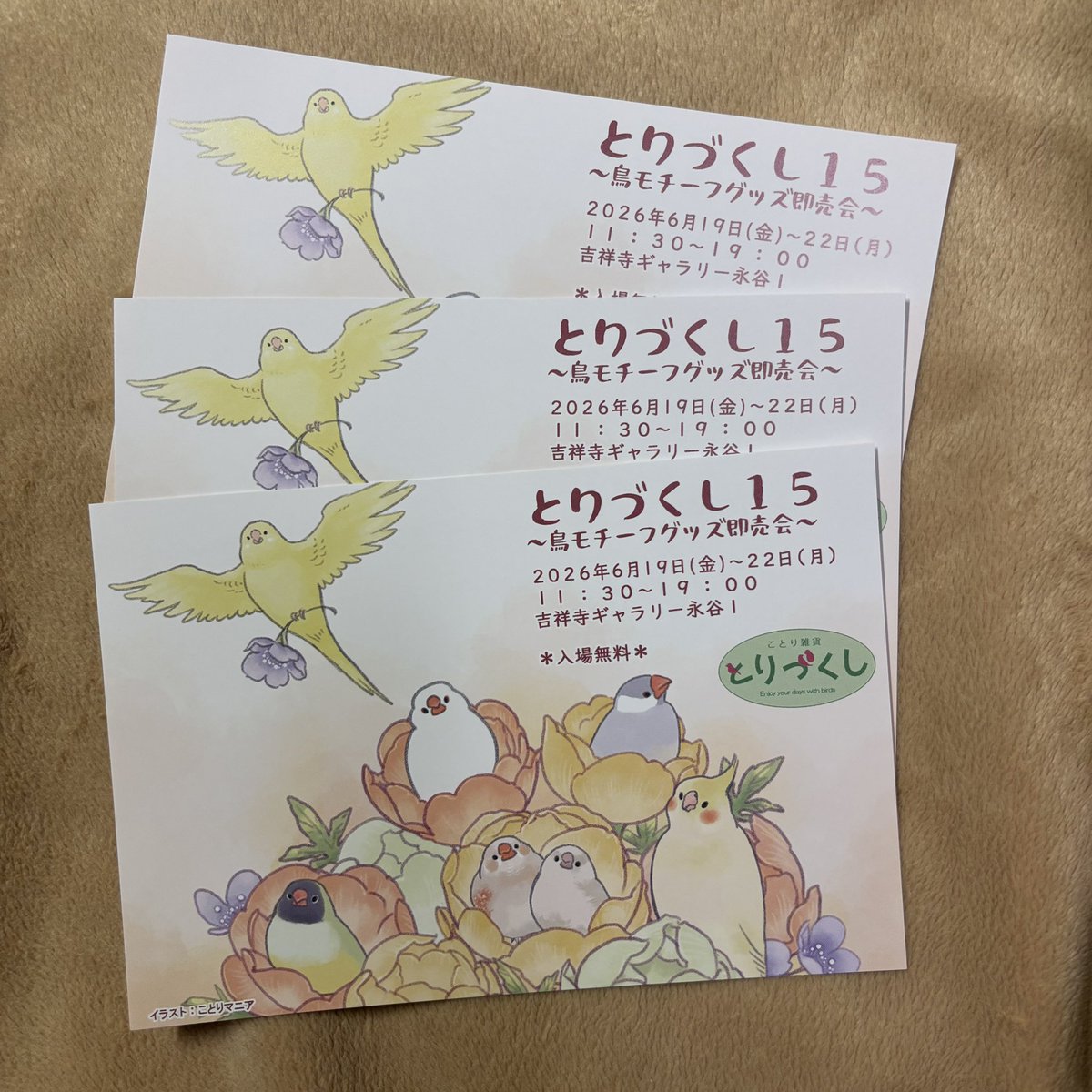 とりづくし のＤＭが出来上がりましたー！鳥フェス浅草から配布開始します！
今年はことりマニアさんにイラスト描いていただきました！フィンチ多めの私好みになっております笑