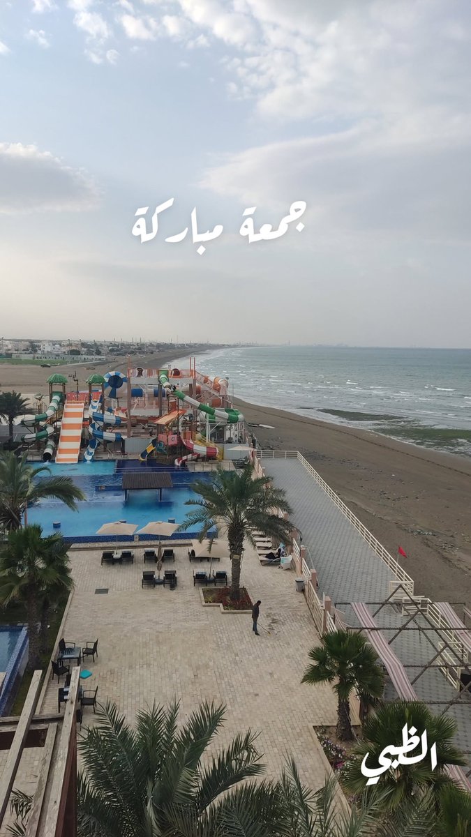 ظبية الباطنة tweet media