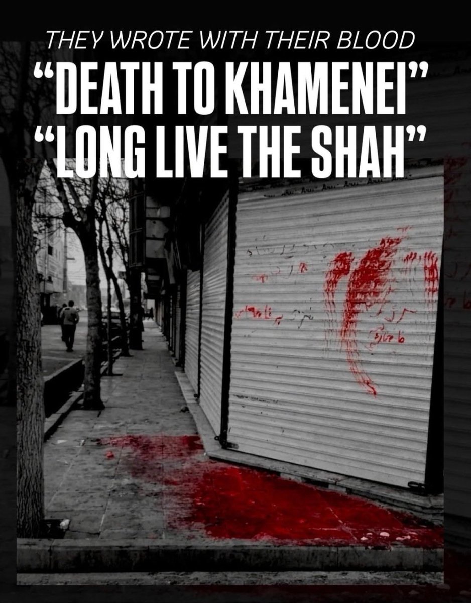 SinShinSam's tweet image. Mashhad was one of hundreds of cities where Iranians took to the streets to protest. The Islamic regime massacred them—and is now executing the remaining protesters in prisons #IranMassacre #IranRevolution2026