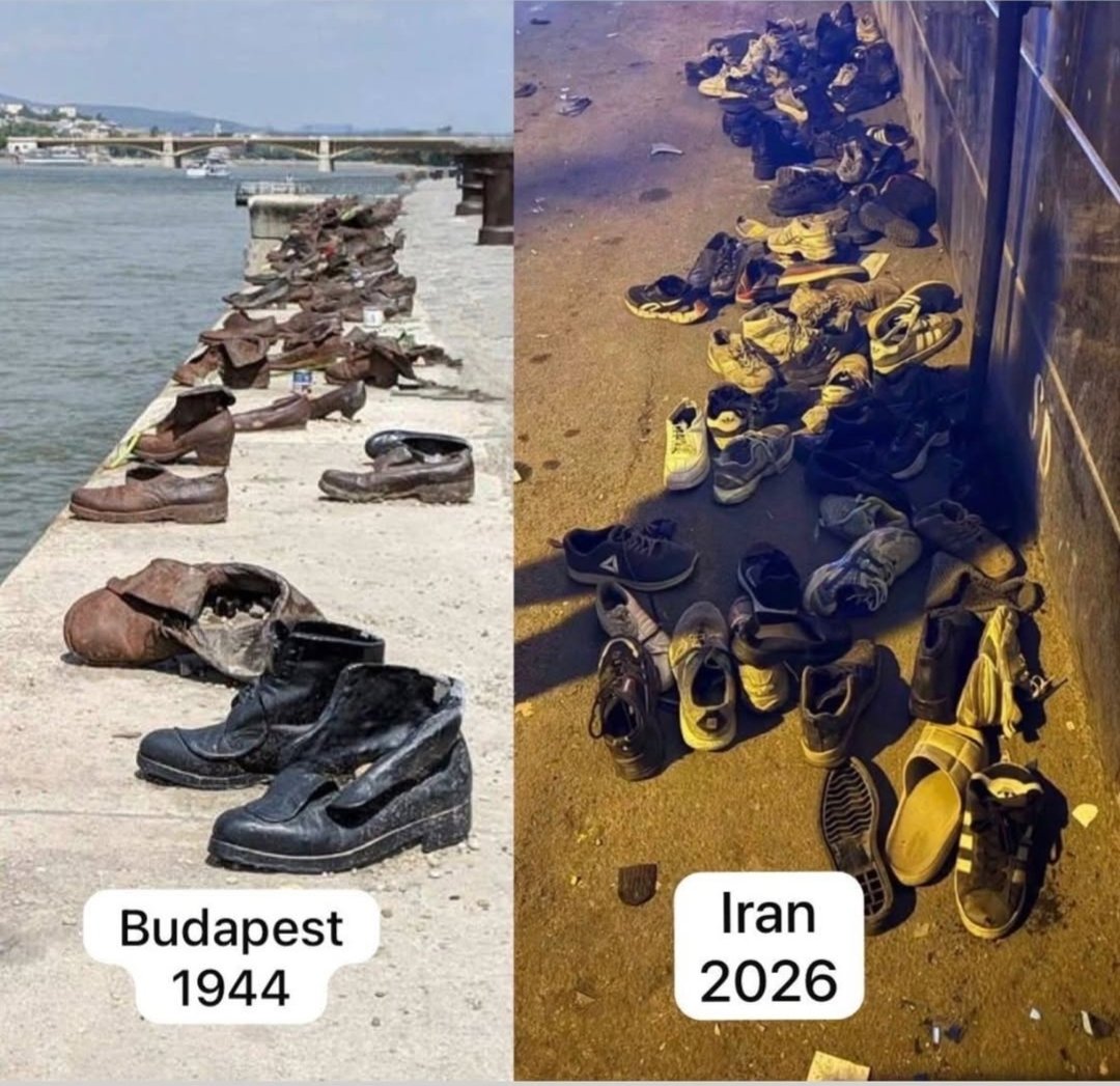 SinShinSam's tweet image. Mashhad was one of hundreds of cities where Iranians took to the streets to protest. The Islamic regime massacred them—and is now executing the remaining protesters in prisons #IranMassacre #IranRevolution2026