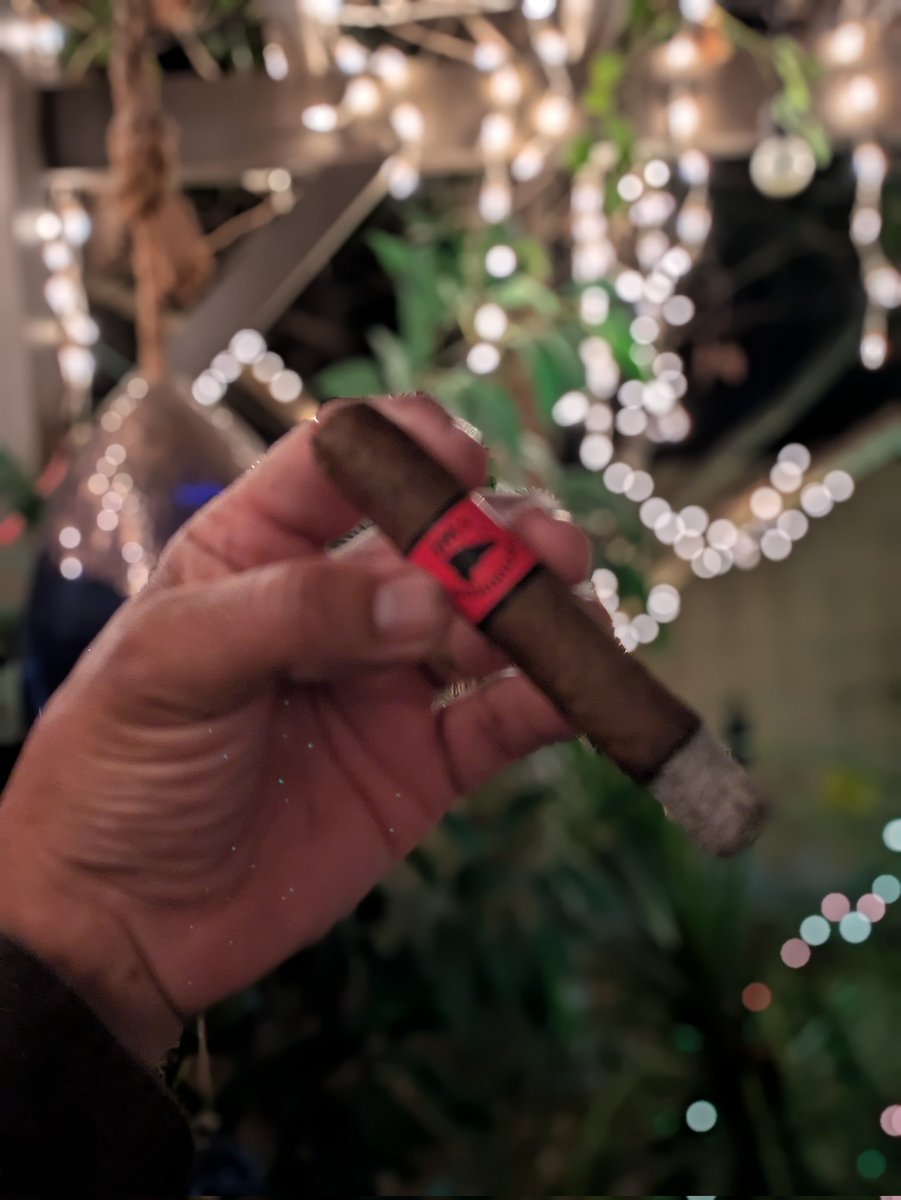 Coach_Ric1's tweet image. Rarity is the quiet strength to sit alone
while others trade themselves for approval.

#JustBeYou #QuietStrength #Rarity