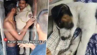 Accused is "Vikas Besakar Paswan" that’s why Adani TV is too Shy to mention his name.