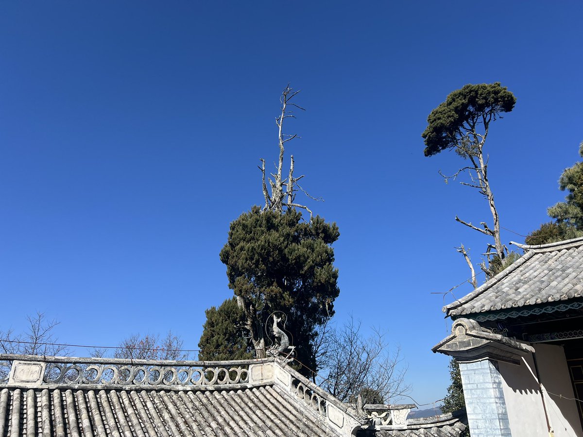 Mackqu's tweet image. 《不修行者，必死于币市》
Those Who Do Not Cultivate, Will Die in the Market

币圈不是赌场，
是屠宰场。
Crypto is not a casino.
It is a slaughterhouse.

这里不杀蠢人，
只杀不自省的人。
It does not kill the foolish.
It kills those who cannot reflect on themselves.

贪者，死于贪；…