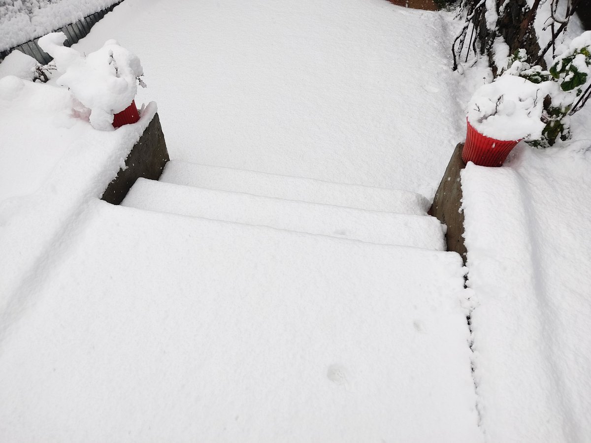 im___hadi's tweet photo. “When patience meets snowfall”🍁 Alhamdulillah 🤲🤍❄️

#Kashmirweather
#Bandipora #Snowfall
#Kashmir 
#SnowPics

Some glimpses❄ 📷 https://t.co/khAxLZwSv2