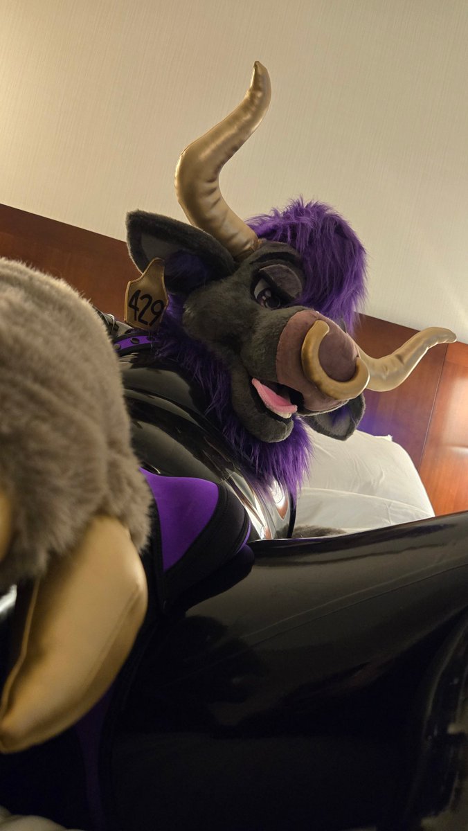 Aureo Bull ✨ tweet media