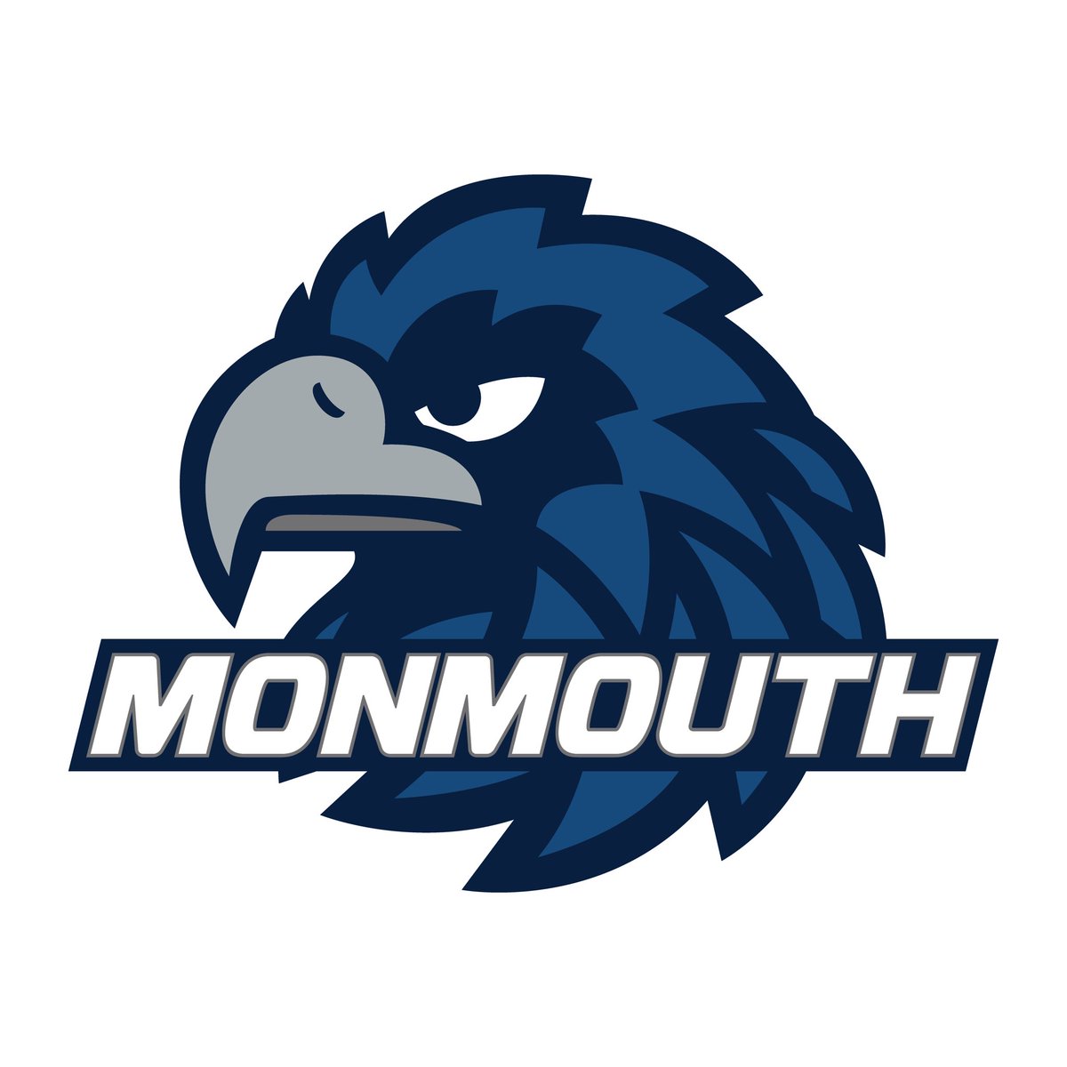 Iona Prep Football tweet media