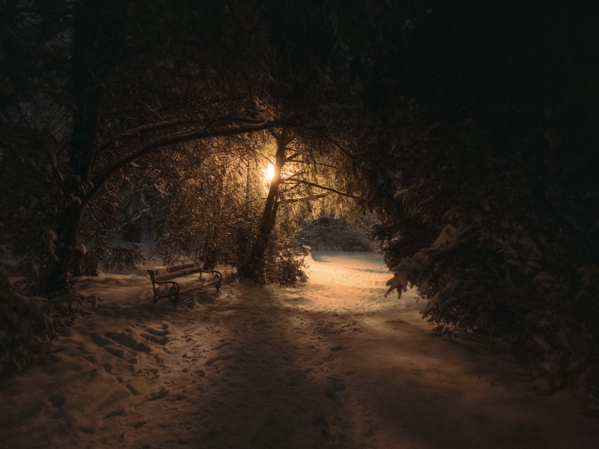 ipirateadobe's tweet image. 