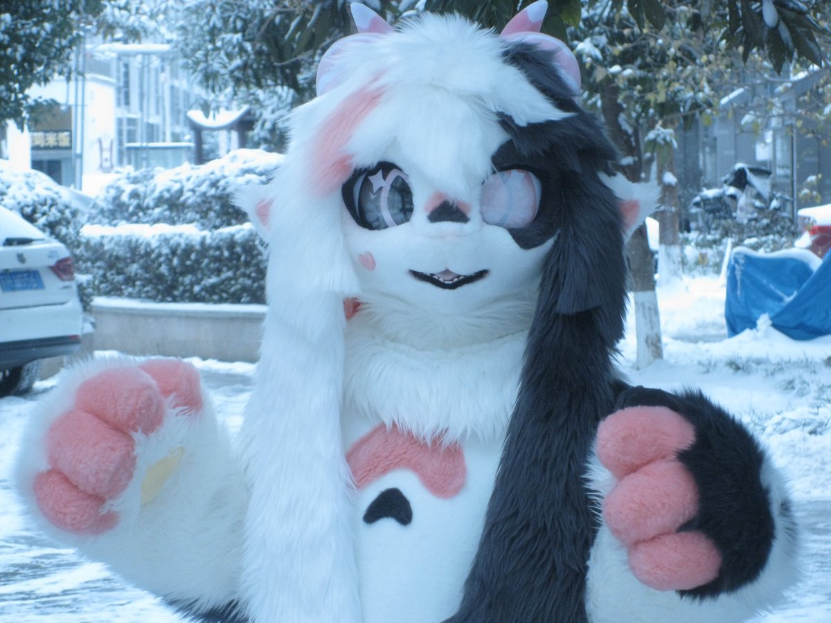 ❄️✨✨
#FursuitFriday #fursuit #kemono