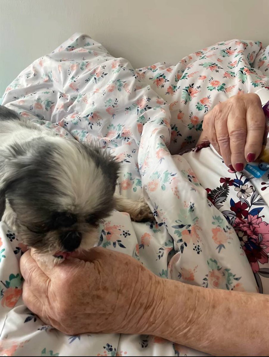 Grandma Sick proof 

Lock In 🔥