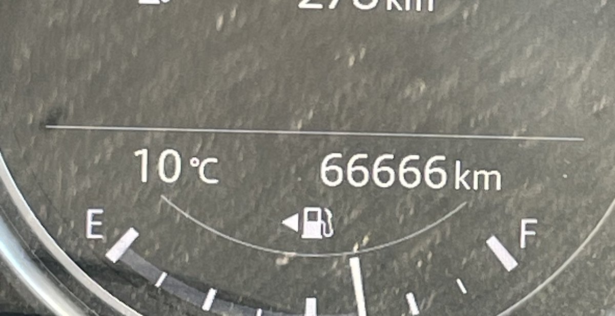 ムム！ムムムッ！