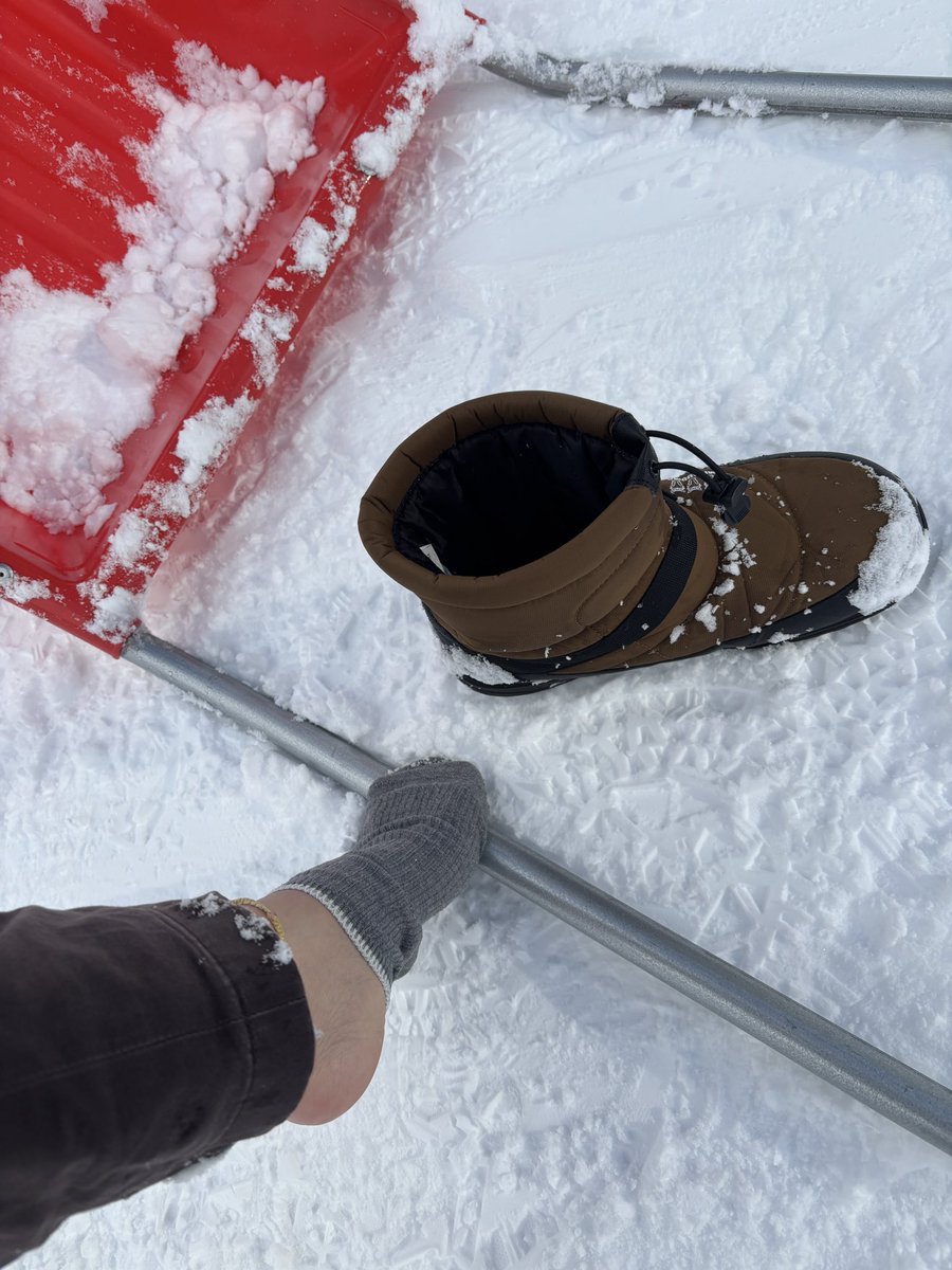 maihashi300's tweet image. #雪国あるある

雪かきしてるとブーツの中で靴下脱げる