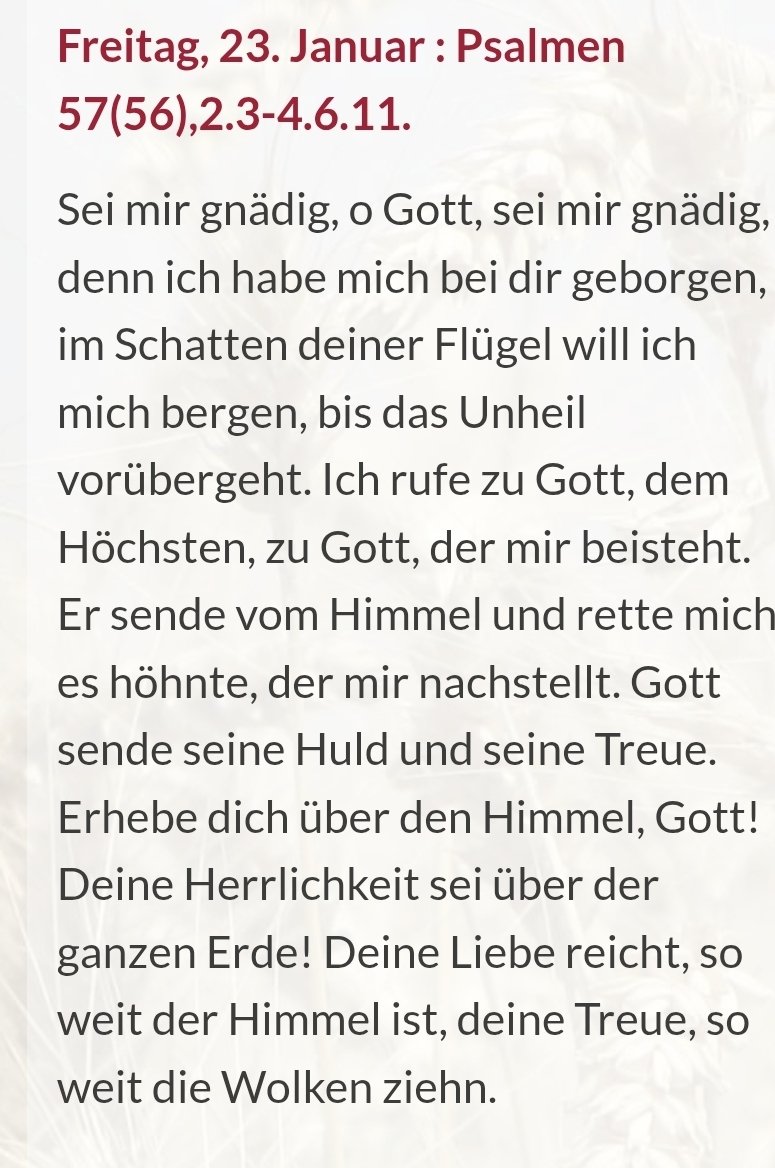 "Deine Liebe reicht, so weit der Himmel ist, deine Treue, so weit die Wolken ziehn."

Mit dem heutigen Psalm wünsche ich euch allen einen gesegneten und schönen Tag!