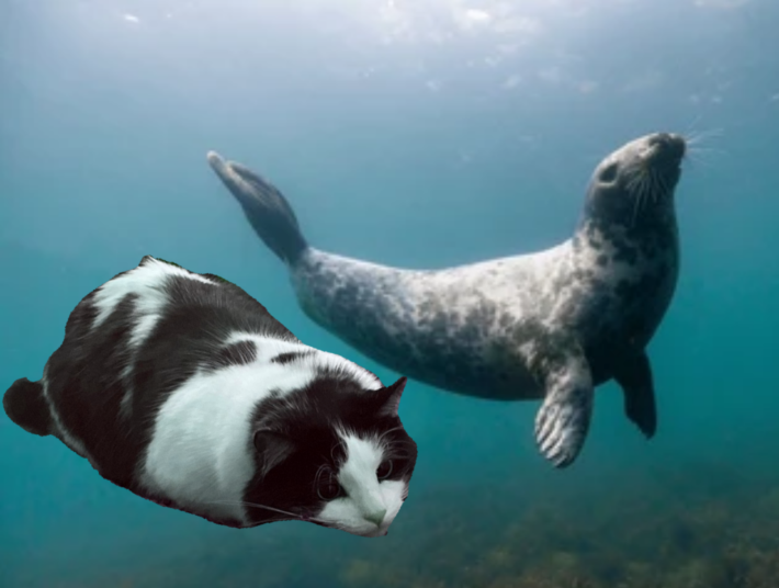 trackingvoid tweet media