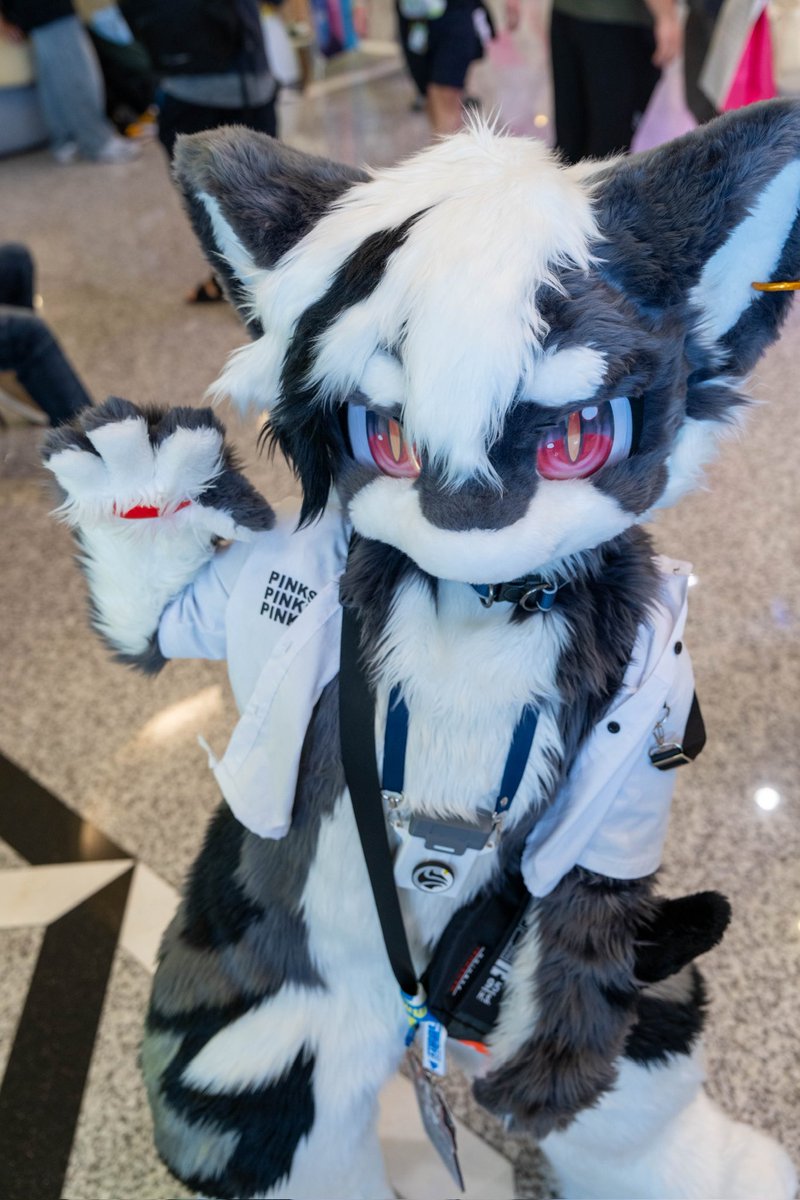我要巴下去了🖐️

📷林亞
#FursuitFriday