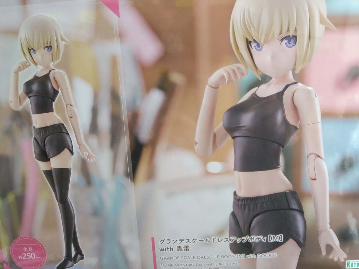 グランデスケール　ドレスアップボディ【M】with轟雷入荷いたしました！