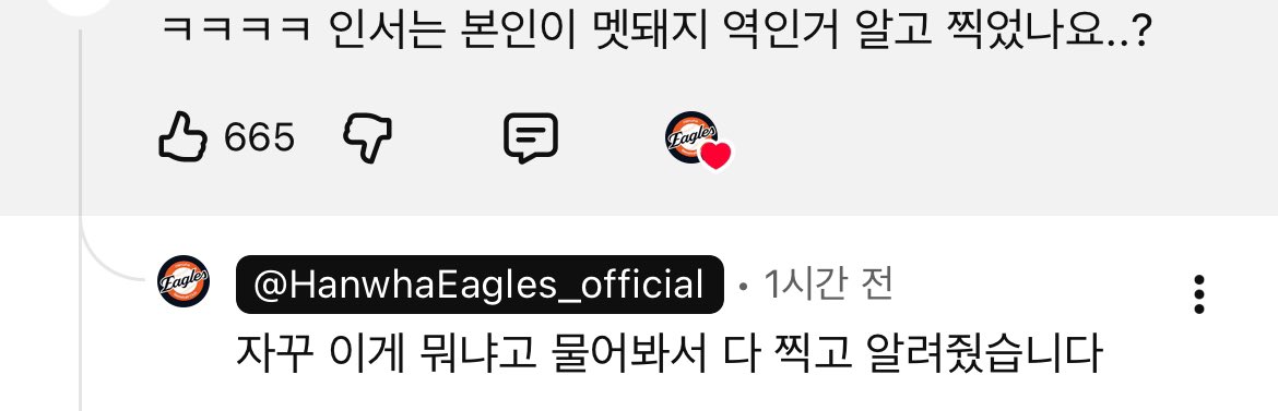 이글스티비 댓글🧡