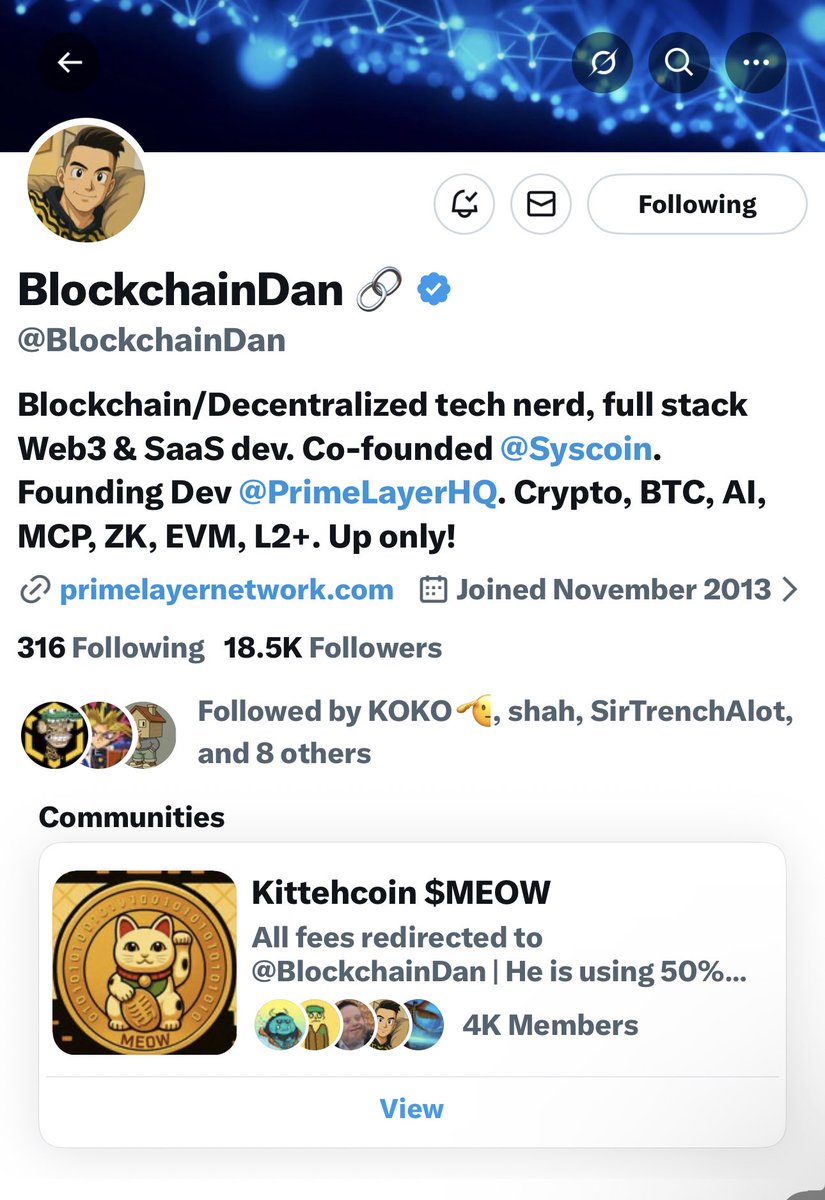 SEOR Network SEOR Cat token