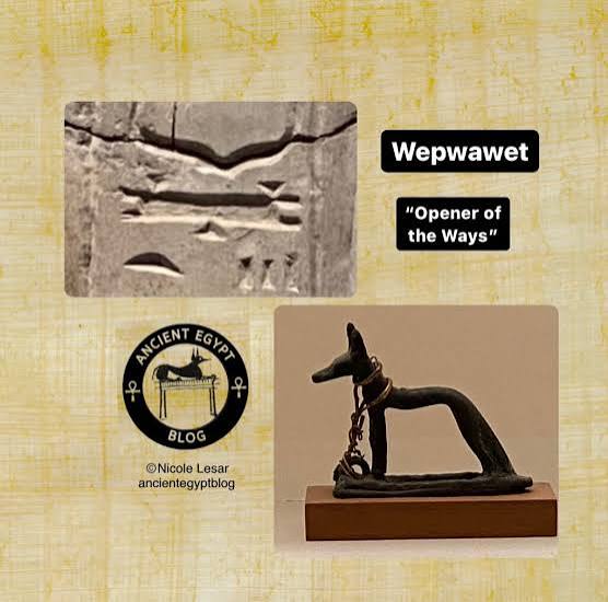 nmc0vy's tweet image. يظهر غالباً واقفاً على "راية" تتقدم المواكب الملكية والجنائزية، ويتميز بوجود عنصر صغير أمامه على الراية يُسمى "المشيمة الملكية"