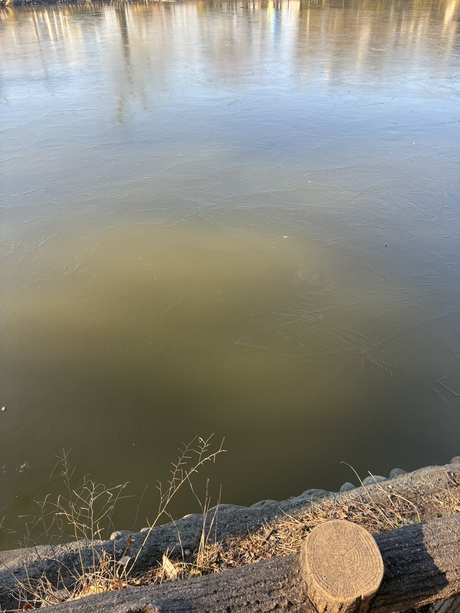 13macable's tweet image. 湖面凍結