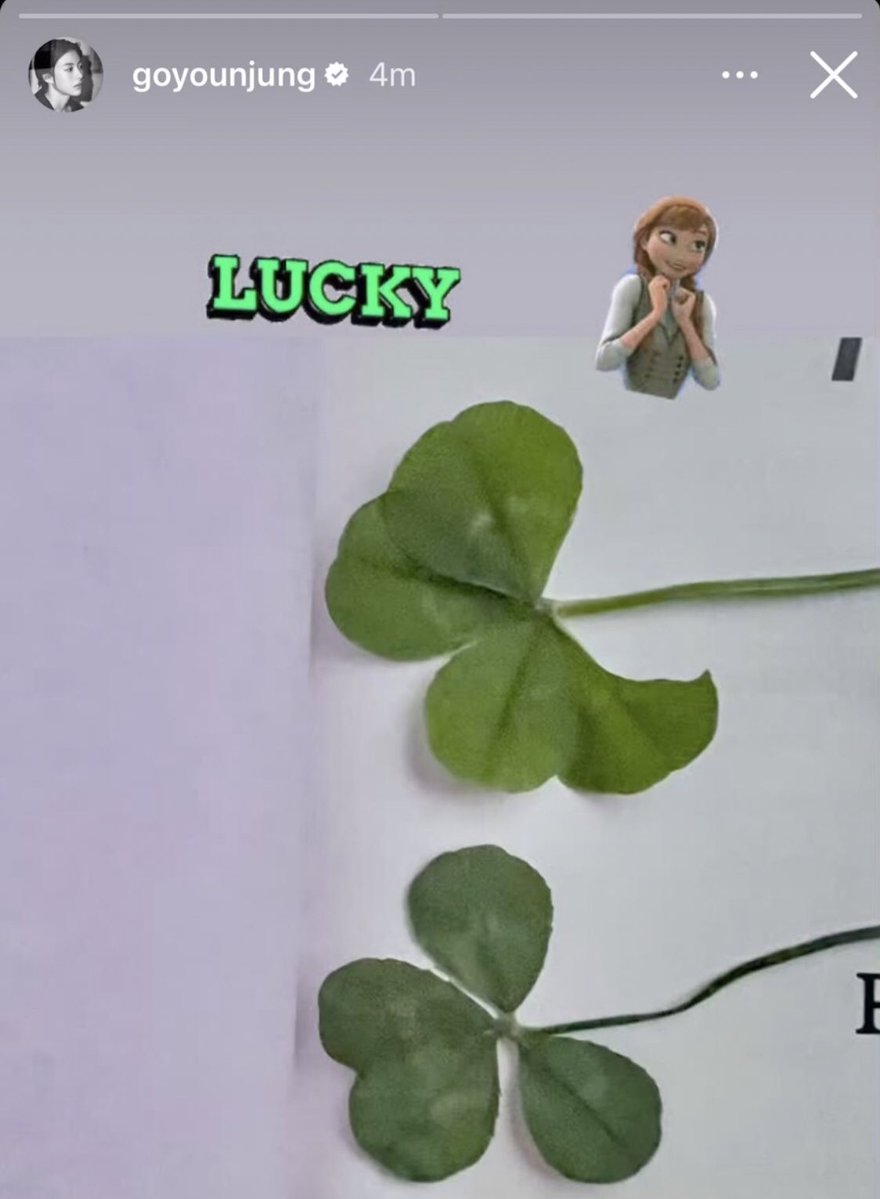 ladywitchx's tweet image. คู่ชิปที่เรียลที่สุด : ยุนจอง x ใบโคลเวอร์ 🍀