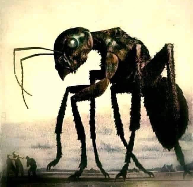 musicandsoularg's tweet image. Buenos días ☀️ 

¿A ver qué dice la gente?...⚠️

"Si recoges 100 hormigas negras y 100 hormigas rojas y las pones en un jarro de vidrio nada pasará.

Pero si tomas el jarro, lo sacudes violentamente y lo dejas en la mesa, las hormigas comenzarán a matarse entre sí. 

Las rojas al…