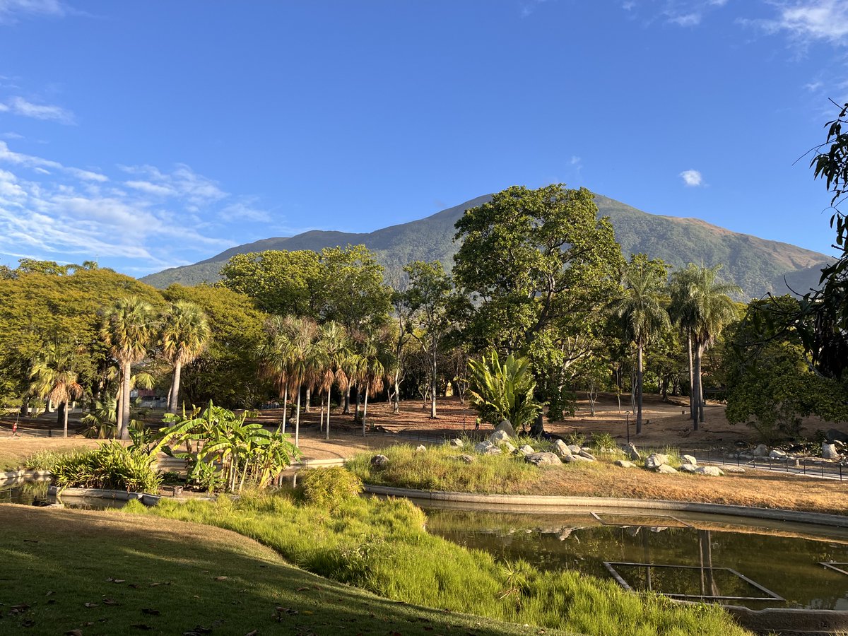 Ver las maravillas de la creación, disfrutarlas. Eso es felicidad. Buenos días. 

#UnaMiradaAlParque