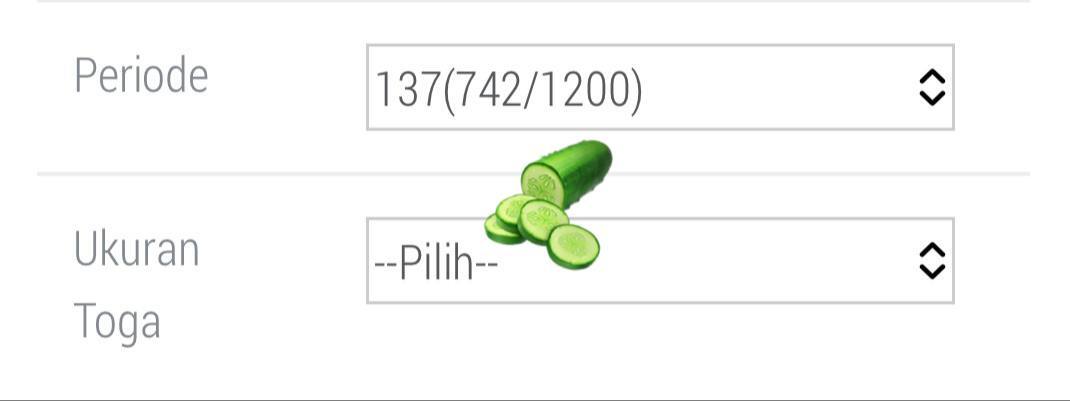 UM Fess! 🍉 tweet media