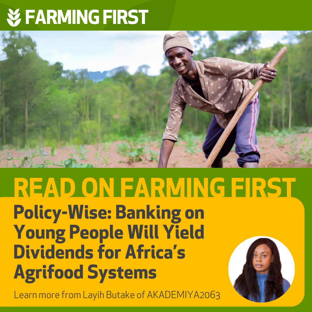 farmingfirst's tweet image. Ahead of the International Day of Education, explore how education can empower youth in agrifood systems from @AKADEMIYA2063’s Layih Butake 👇🏾

💡 Diversifying training
💡 Prioritising vocational learning
💡 Boosting agri-tech competencies

bit.ly/3Wnr4gi