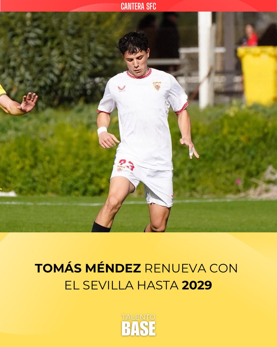 TalentoBase's tweet image. 🚨 ÚLTIMA HORA: Tomás Méndez renueva con el #SevillaFC hasta 𝐣𝐮𝐧𝐢𝐨 𝐝𝐞 𝟐𝟎𝟐𝟗

🔴 El defensor zurdo prosigue su formación en el Juvenil ‘A’ sevillista. 

🔏 Nico Guillén, de la misma generación, también renovará por tres años.