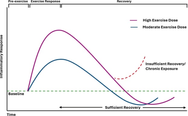 a_garciahermoso's tweet image. 🏃‍♂️💓¿Demasiado ejercicio puede ser un problema? 
Estudio sugiere que entrenar a dosis muy altas, sin suficiente recuperación😴, podría mantener una inflamación crónica de bajo grado🔥 y aumentar ciertos riesgos cardiovasculares❤️ en atletas de competición

sciencedirect.com/science/articl…