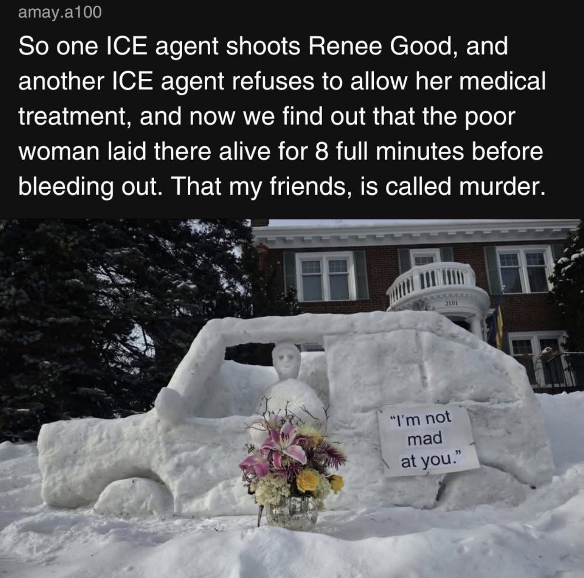 Renee Good was murdered by ICE officer Jonathan Ross. 😡