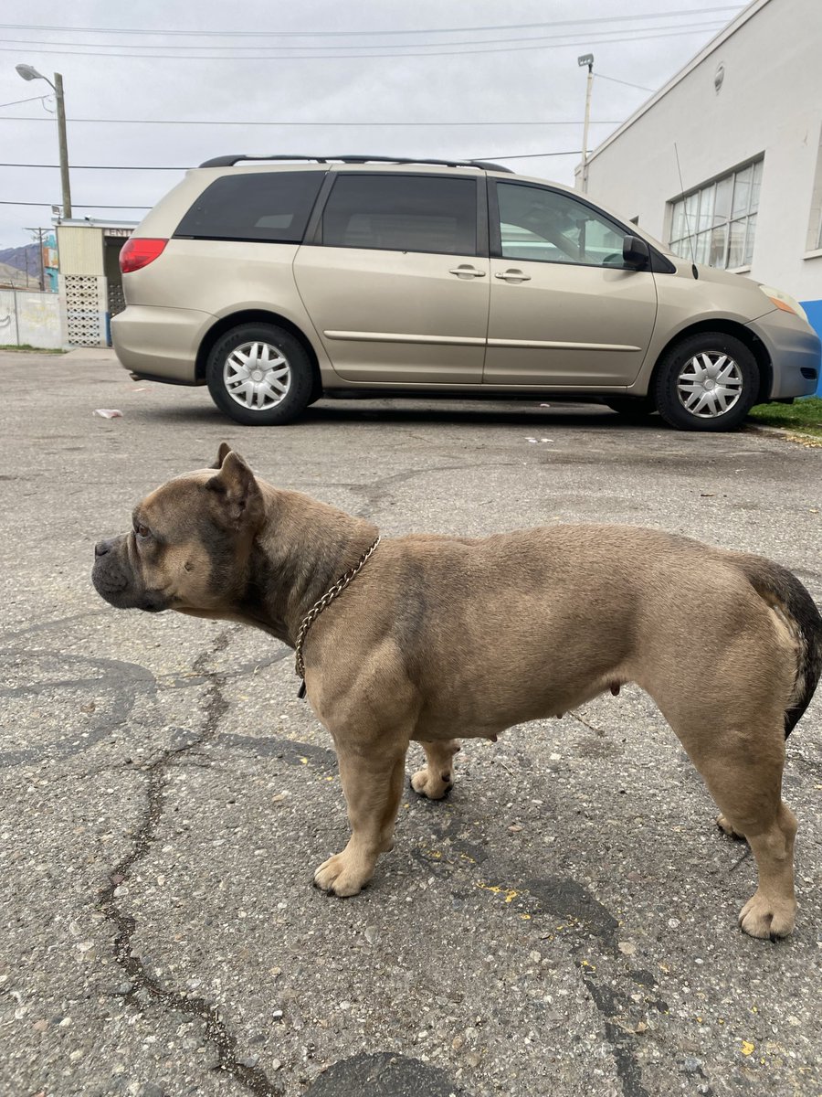 🅿️аsswoяdstязиgtн tweet media