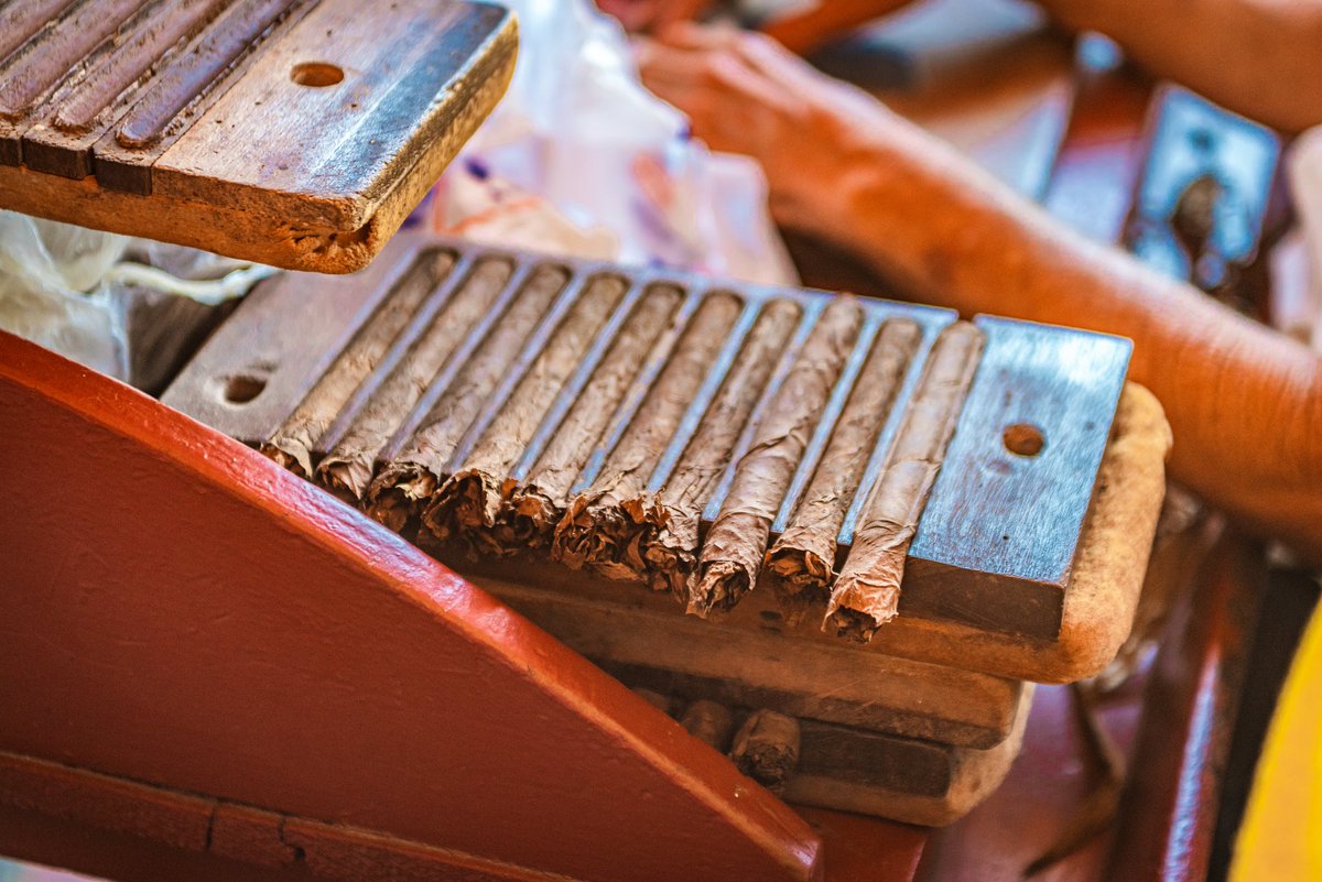 Jamie Ledwith tweet media