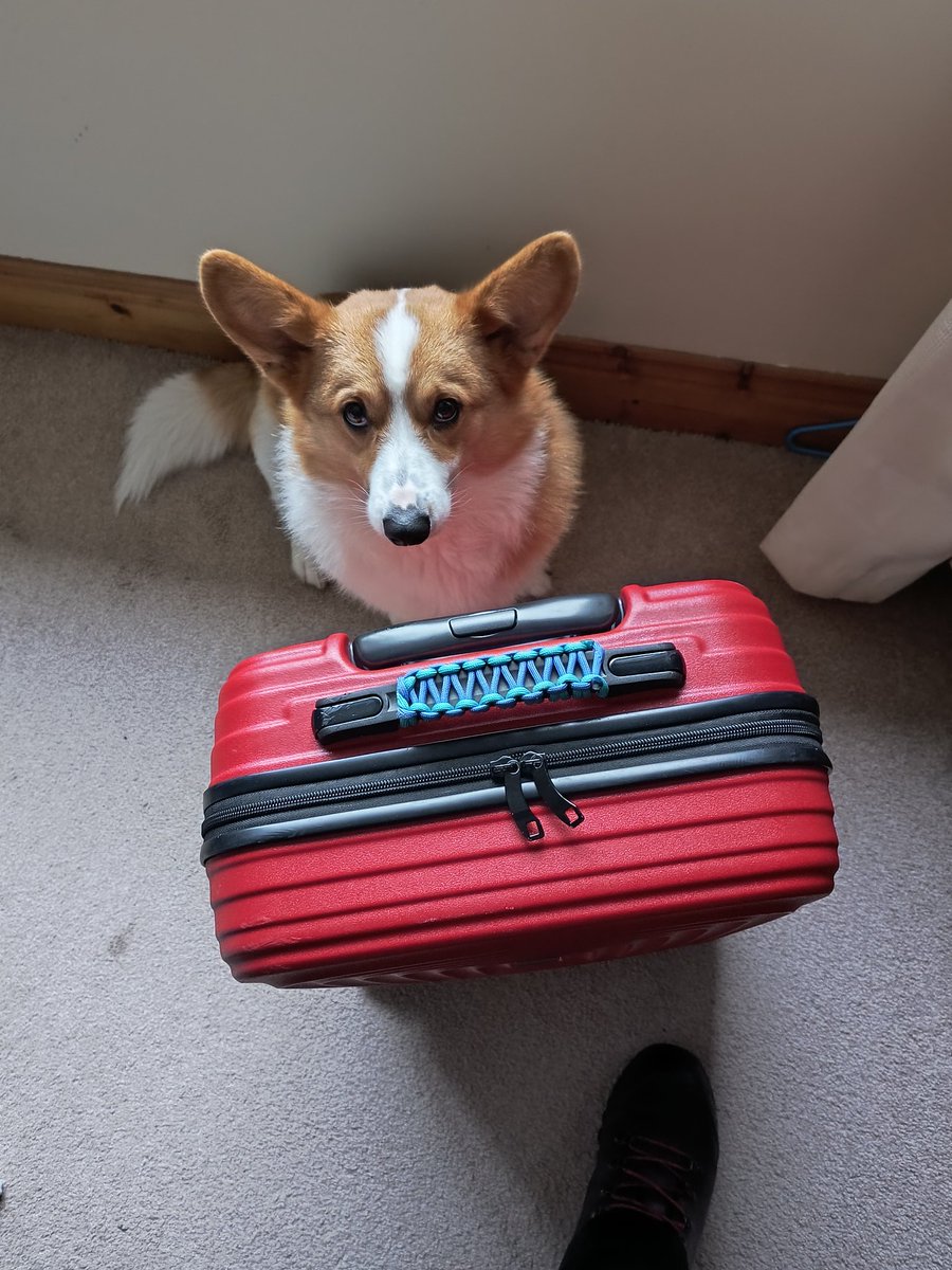 Oh the guilt, <a href="/fanfinity_pkm/">Pokémon tournaments by Fanfinity</a> do you see the Puddin' head on him?!?