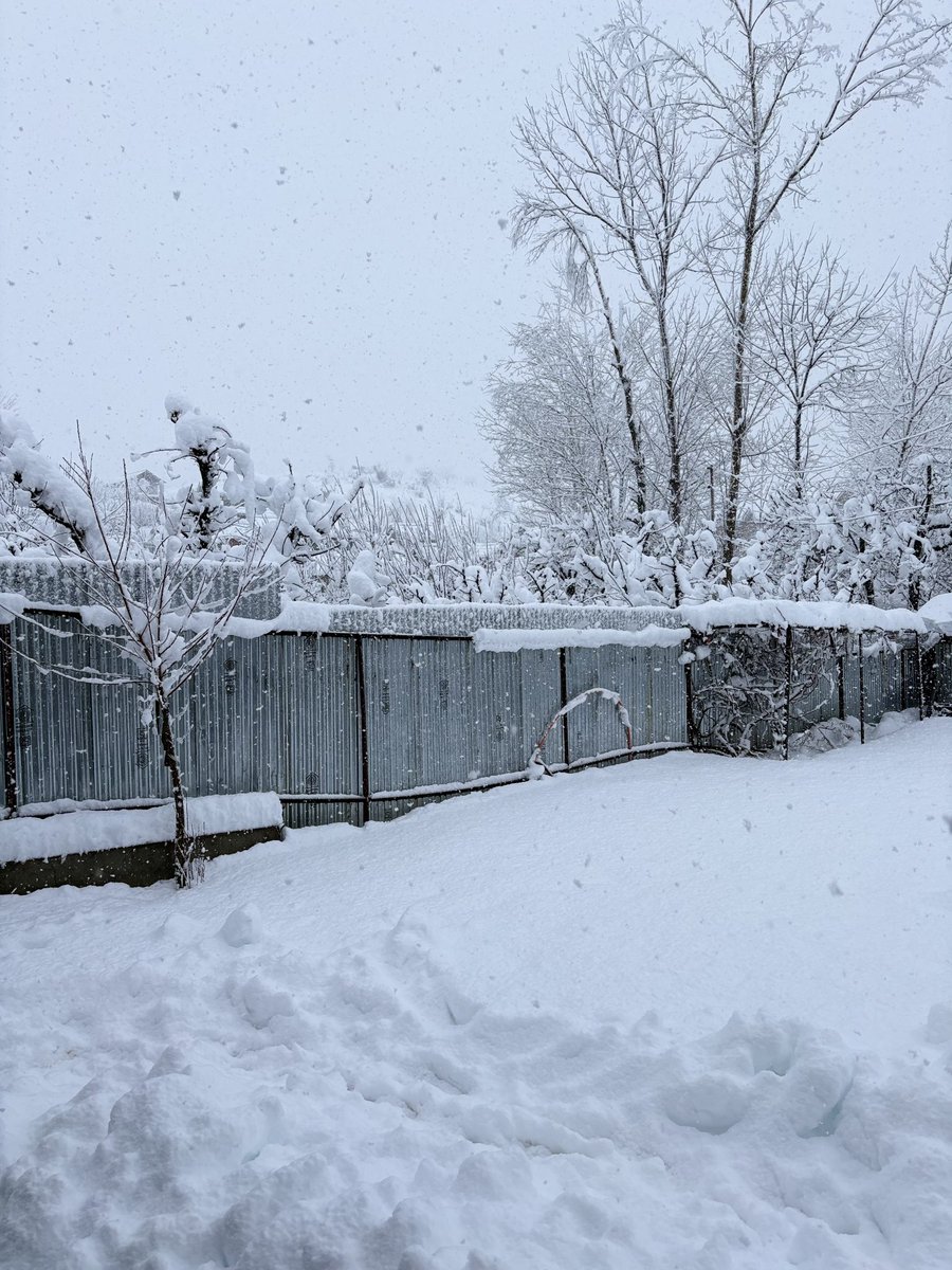 فیضان tweet media