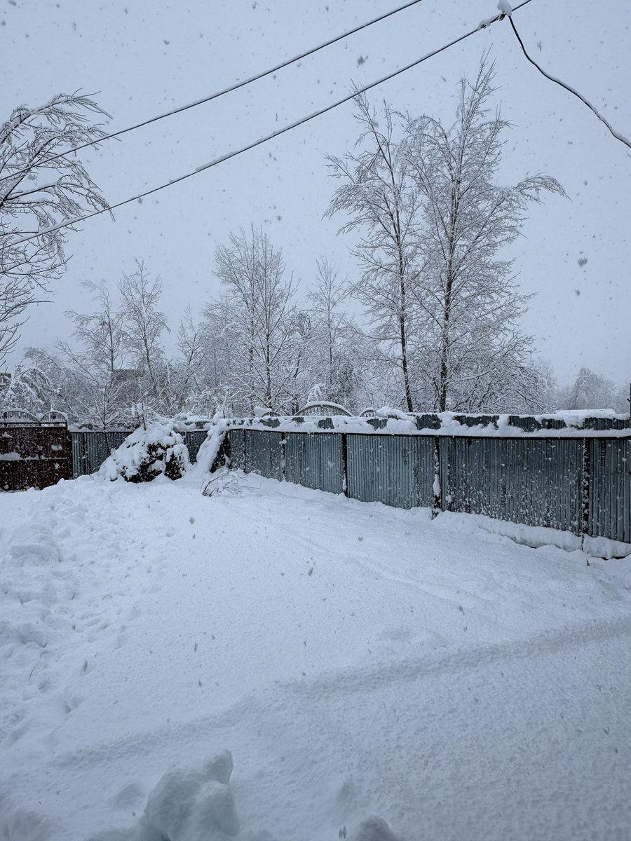 فیضان tweet media