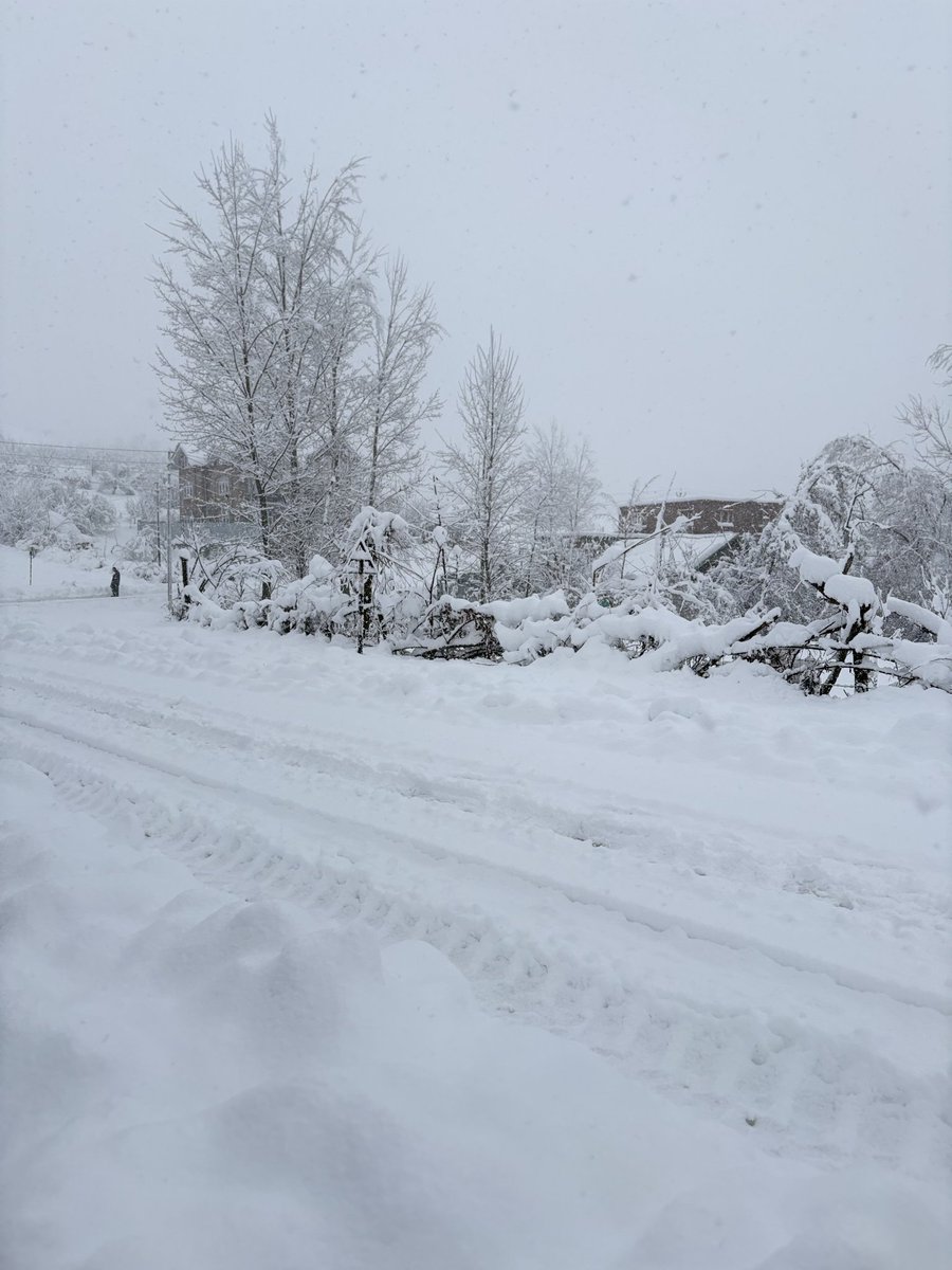 فیضان tweet media