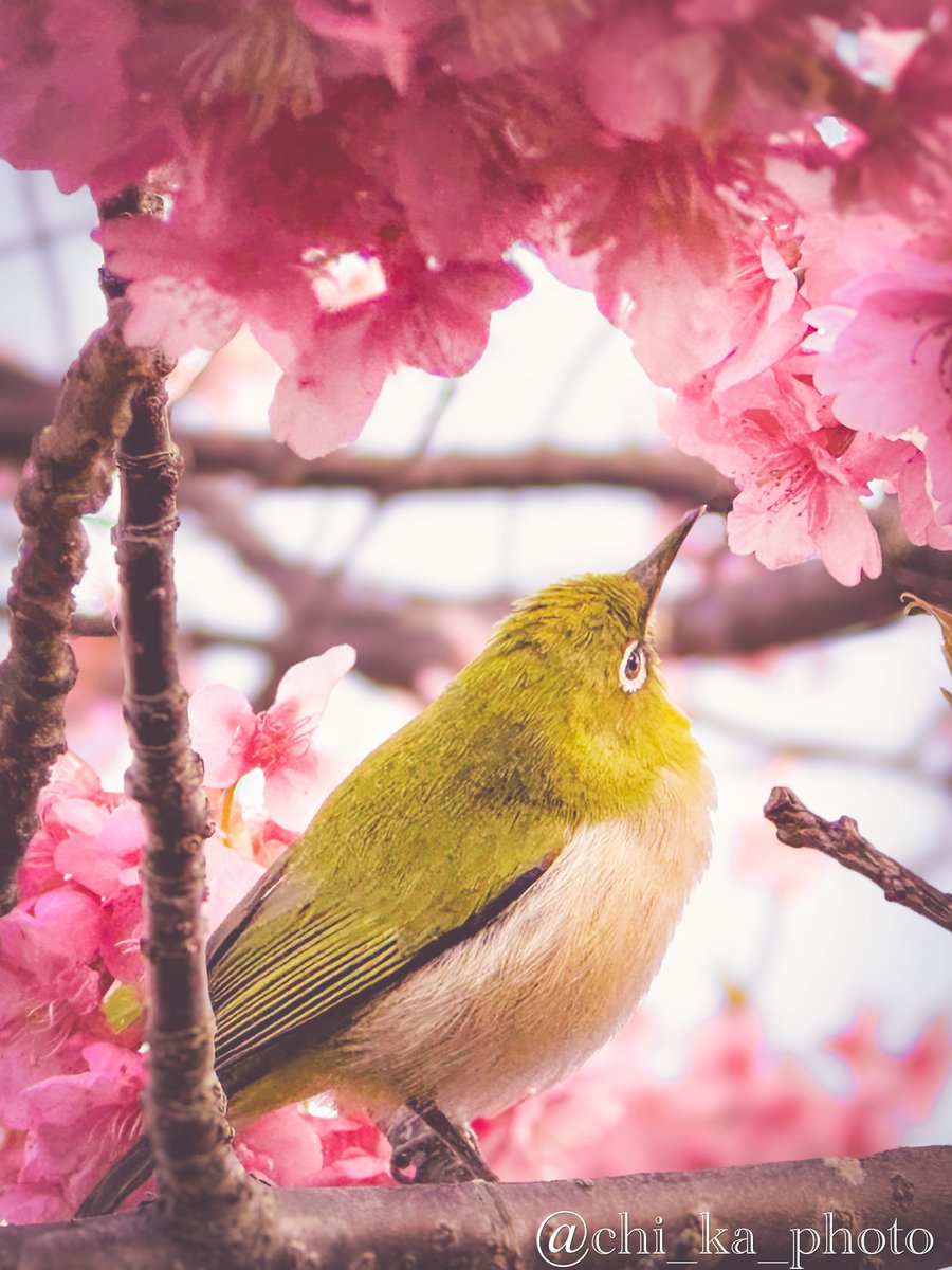 あのこ☺︎︎🍪 (@bakerymugimugi) / Posts / X