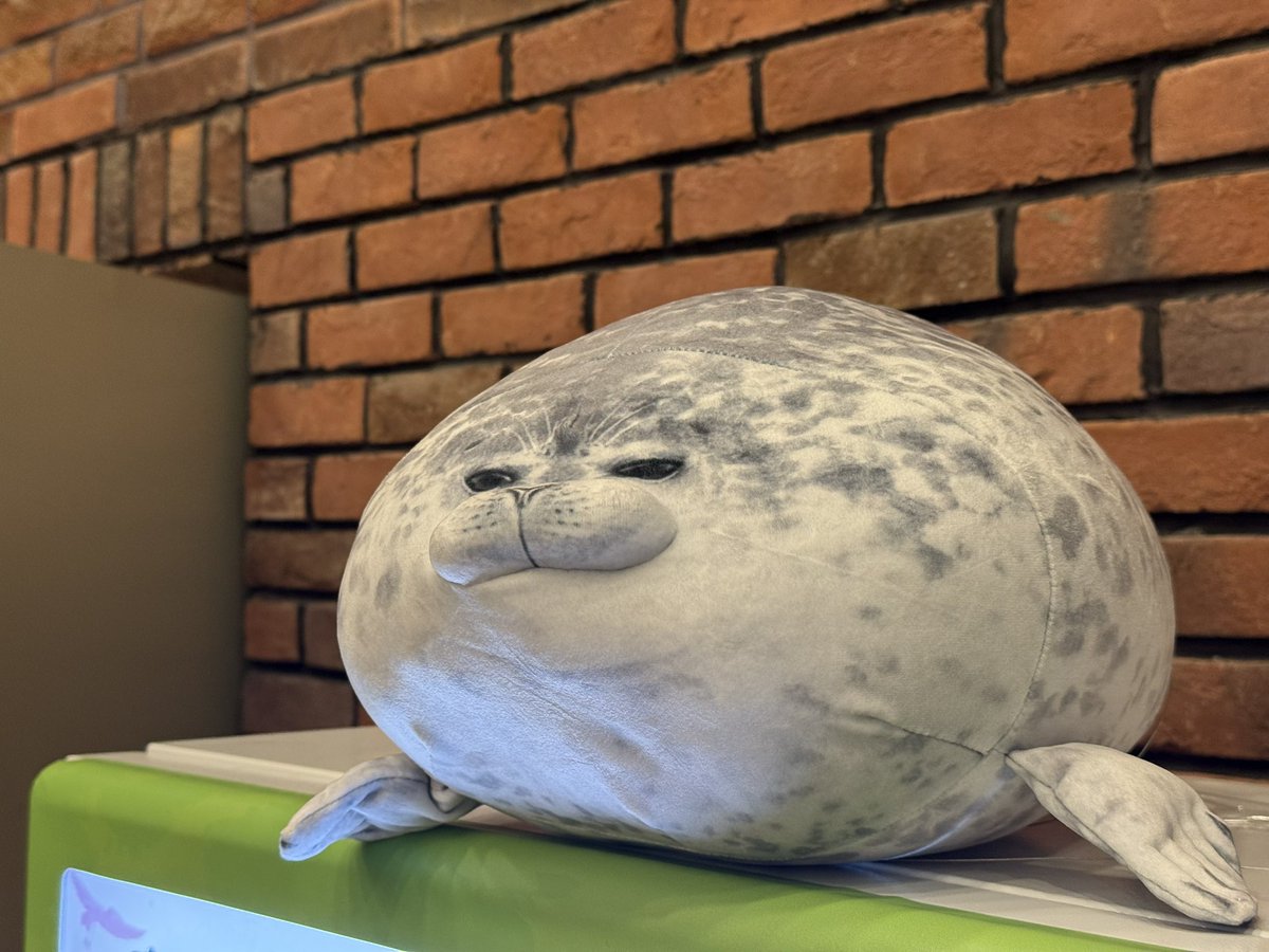 灵灵灵狐狸 tweet media